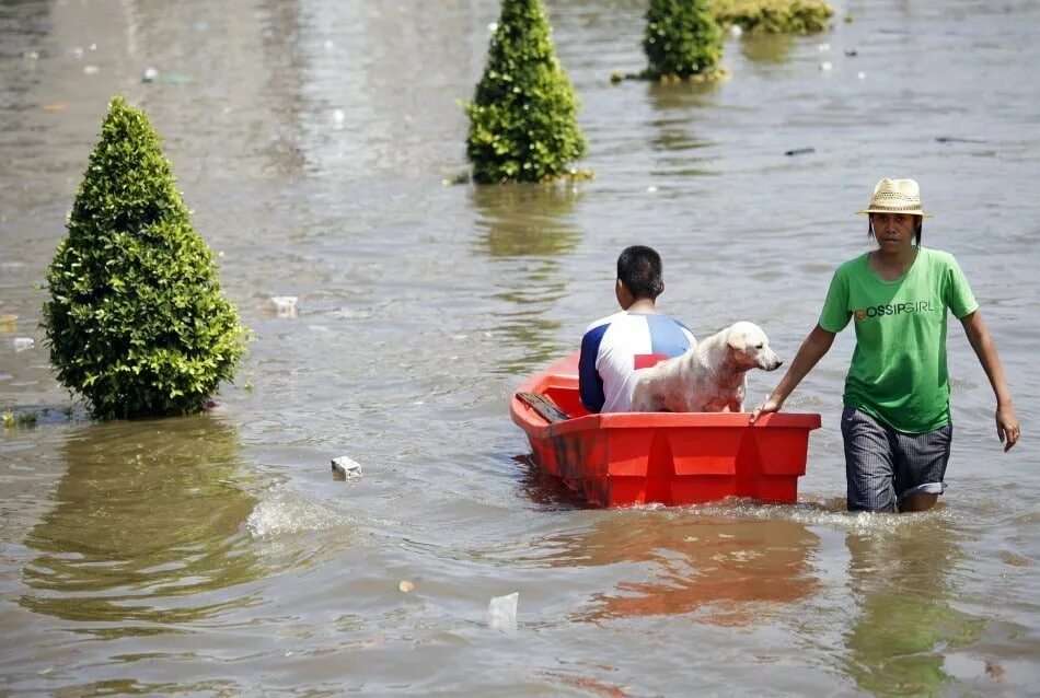 Наводнение в квинсленде 2011. Наводнение 2011. Наводнение в таиланде в 2011 году. Потоп тайланд 2011. Наводнение 2011.