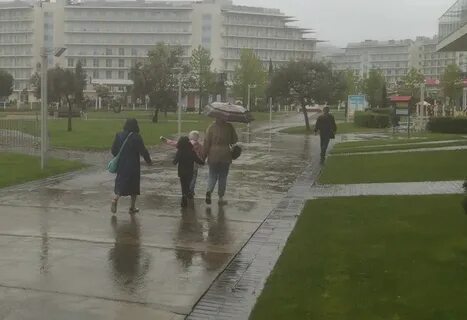 Дожди в конце недели