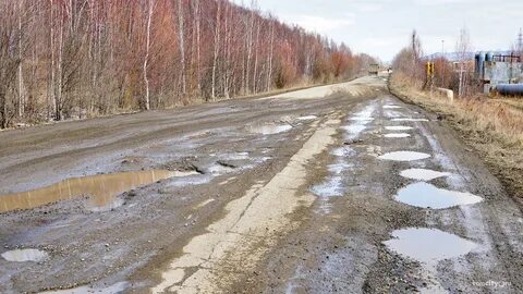 Дорога недельное