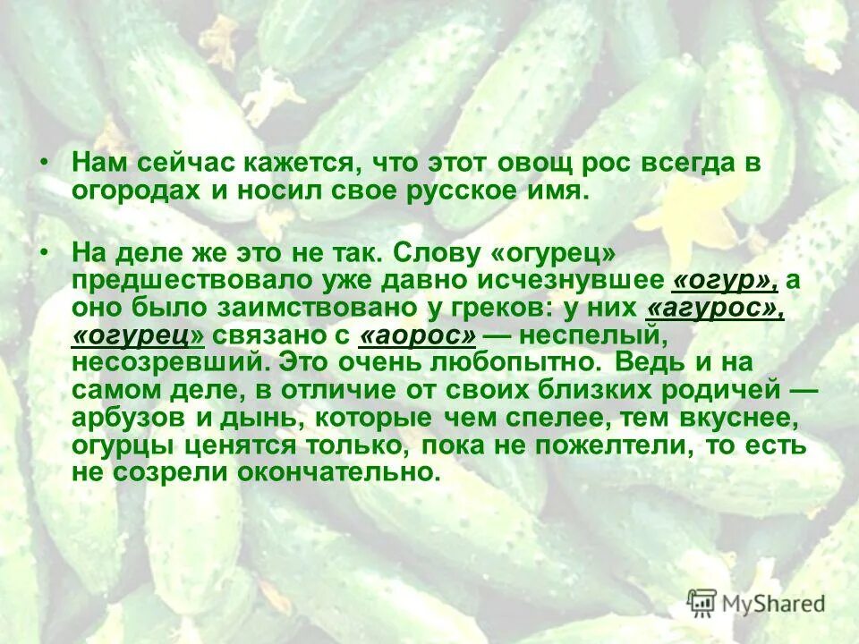 предложение со словом огурец 3 класс. предложение со словом огурцов. этимология слова огурец. огурец однокоренные слова. предложение со словом огурцов.