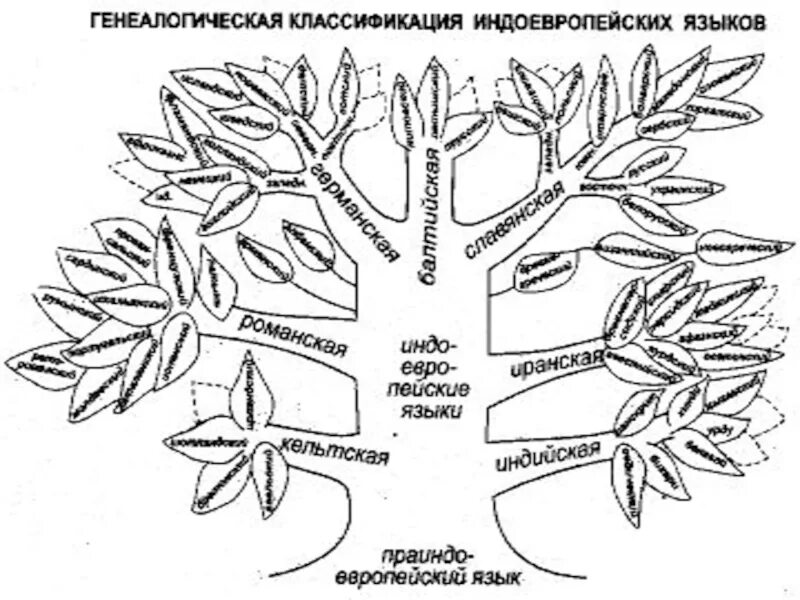 Индоевропейская семья языков. Индоевропейская семья Древо. Индоевропейская семья языков карта. Индоевропейская языковая семья схема. К славянской группе индоевропейской семьи относятся