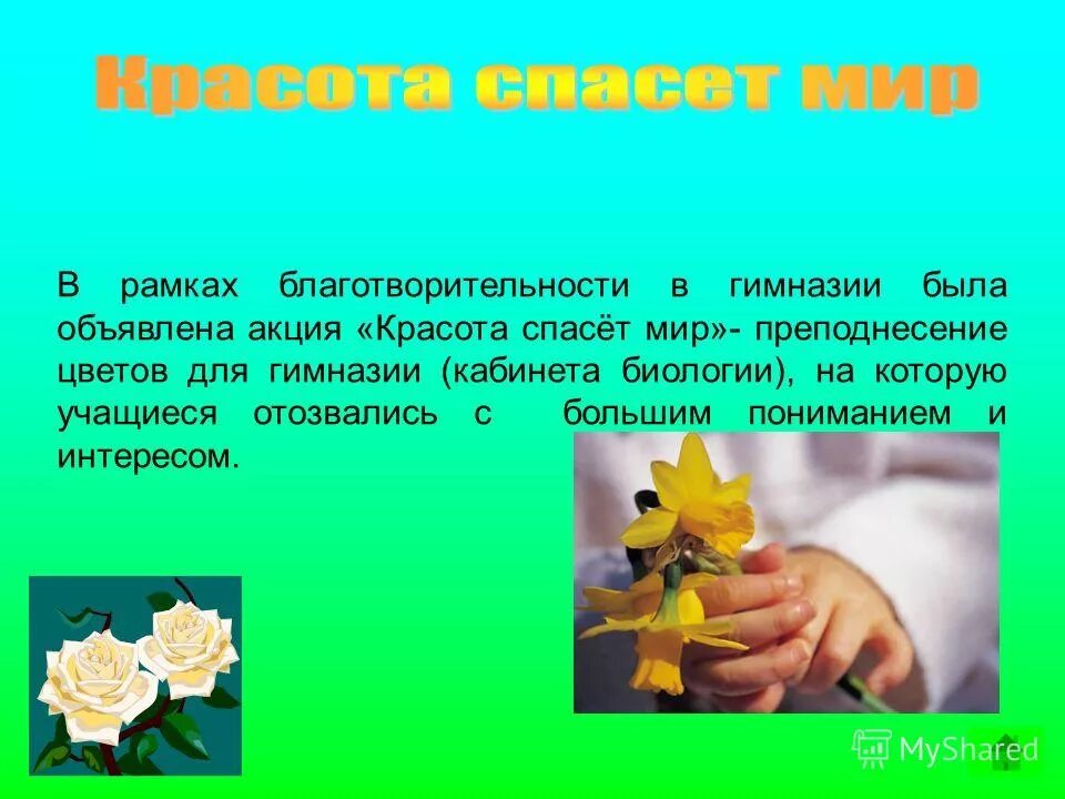 Проект красота спасающая мир Центр культуры и досуга Новости