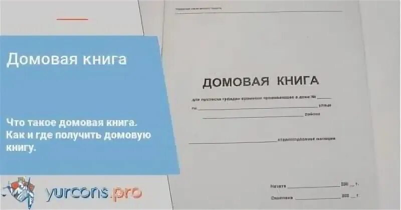 Кто выдает книги