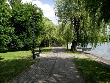 Город августов работа
