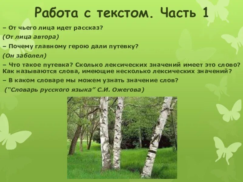 Родные березы Астафьев план. План к изложению Астафьева родные березы. Текст родные березы. Презентация Астафьев березы. Родные березки изложение