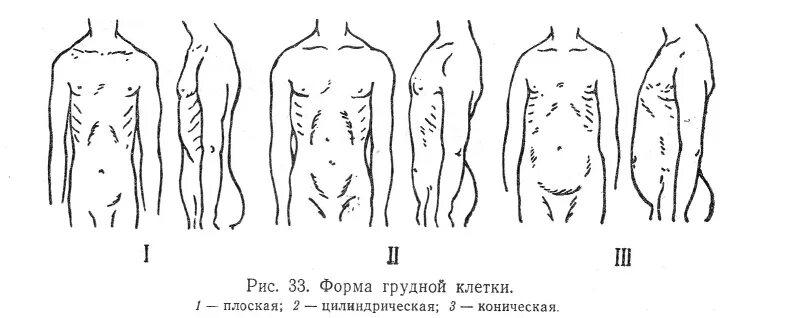 Грудная клетка у ребенка норма. Формы грудной клетки коническая цилиндрическая уплощённая. Нормостенический Тип грудной клетки. Коническая форма грудной клетки у детей. Формы грудной клетки пропедевтика.