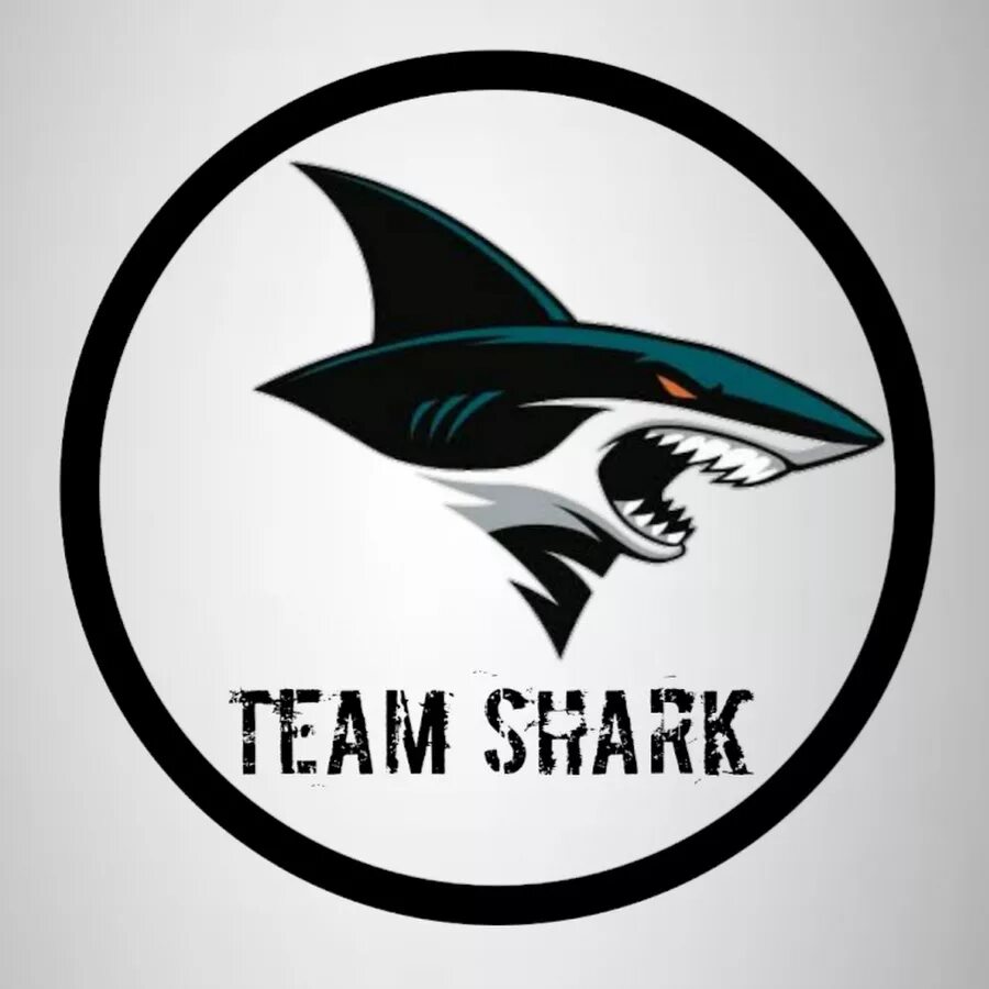 Команда акулы. Акула эмблема. Шарк логотип. Команда Шаркс. Раскрутка сайта team shark