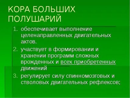 Регуляция коры больших полушарий