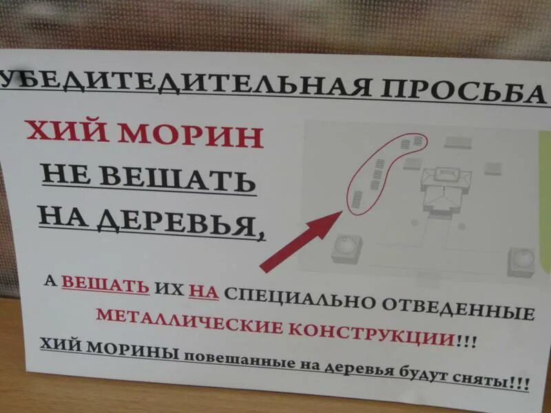 направления хии морин по годам. хии морин таблица. хий морин цвета. хий морин по цветам. буддийские флажки по годам.