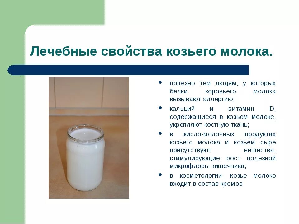 Есть ли польза в молоке. Чем полезно козье молоко. Полезно ли козье молоко. Козье молоко полезно. Польза от козьего молока.