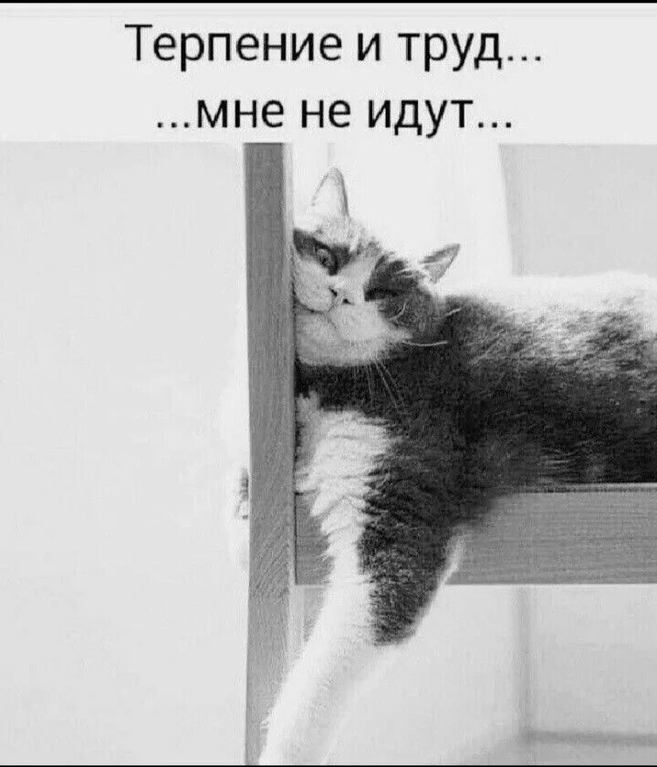 Шуточные мудрости. Терпеливо ждать. Поезд мотиватор. Ждет не терпеливо. Любимый уехал.