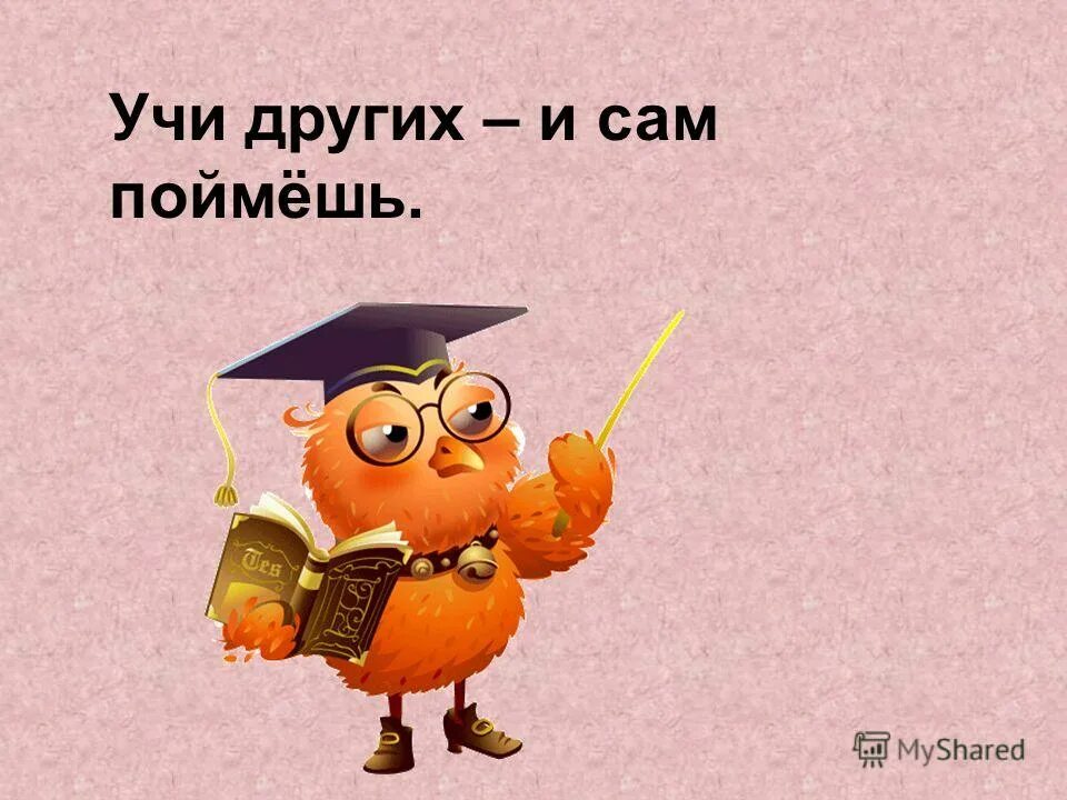 Не учи ученого пословица. Пословица учи других и. учи других и сам поймешь. пословицы учи других и сам. учи других и сам поймешь смысл пословицы.