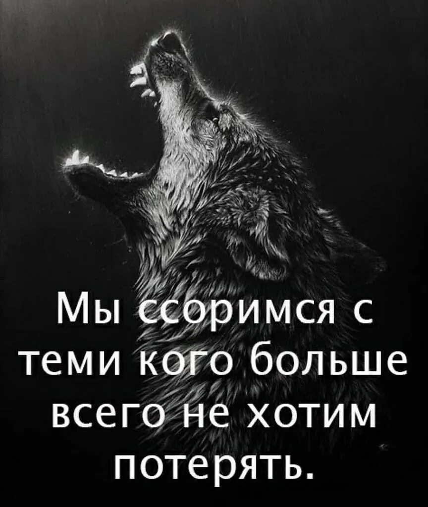 Ощутила сильную боль. Душа волка. Душа волка цитаты. Цитаты волка. Мысли волка.