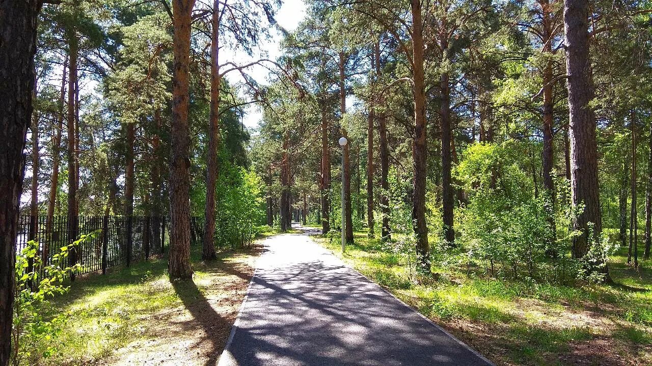 Парк Гилевская роща - 72 фото
