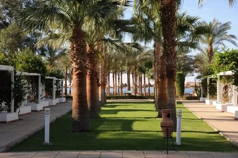 Fun sun seti sharm
