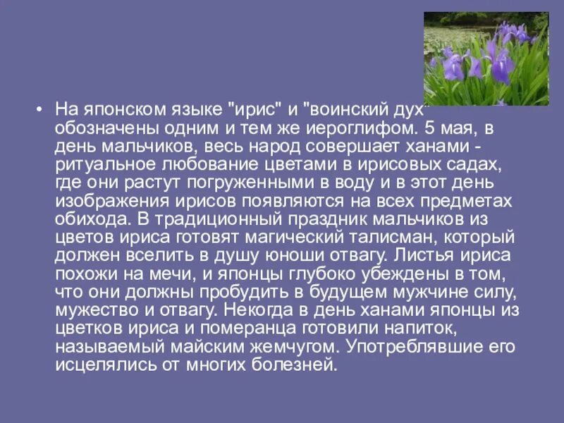 Ирисы на языке цветов. Ирис на языке цветов означает. Ирисы значение на языке цветов. Ирисы цветы значение на языке цветов. Ирис растение значение