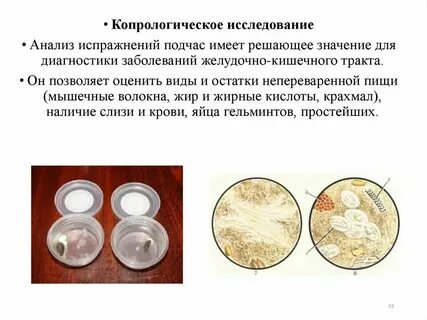 Сбор кала на простейших