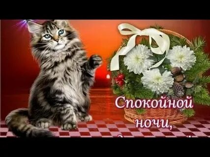 Спокойной 9