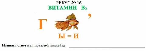 Ребусы питание