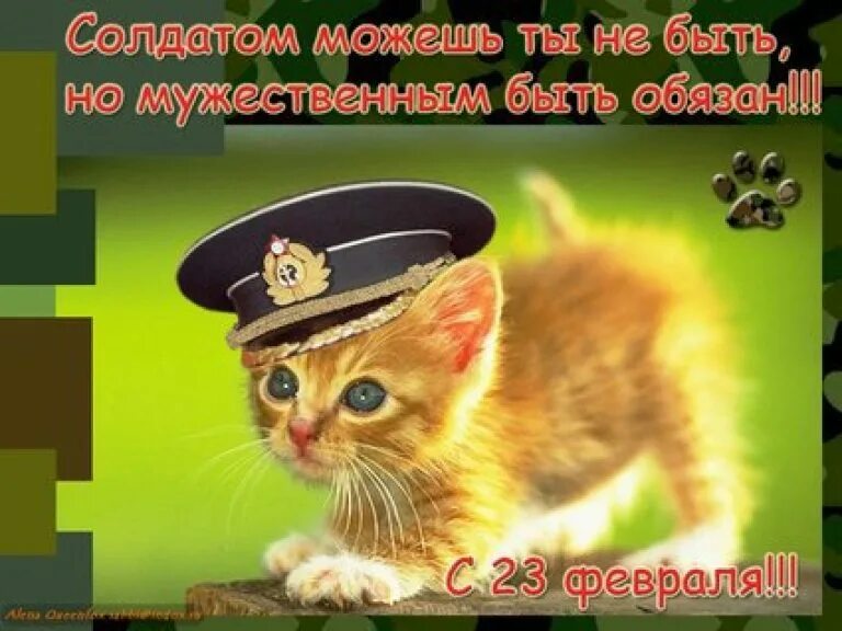 Доброе утро с днем защитника. С 23 февраля. С праздником 23 февраля. Открытка 23 февраля. Поздравления с 23 февраля открытки.