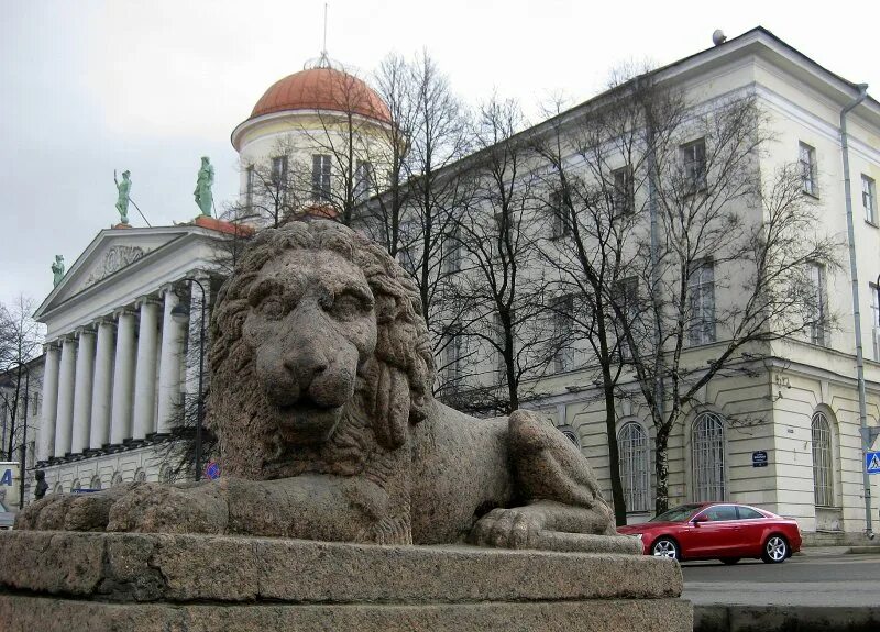 Санкт петербург где львы. Набережная Макарова Питер львы. Каменные львы на набережной Санкт Петербург. Львы на набережной Макарова. Львы на Адмиралтейской набережной.