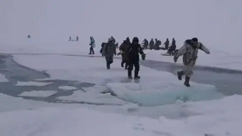 Жнец дрейфующей 71