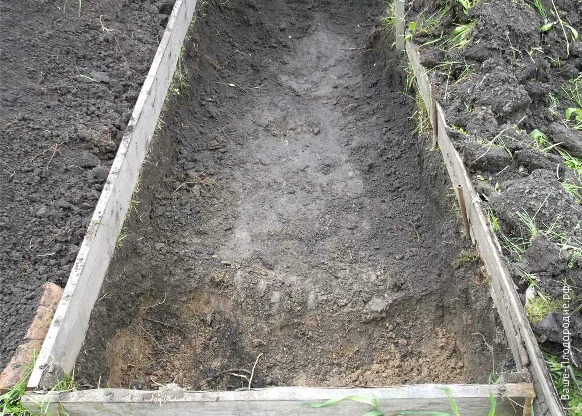 Теплые грядки зимой. Высокие теплые грядки. Компостная грядка. Картонные грядки. Замульчировать грядки опилками.