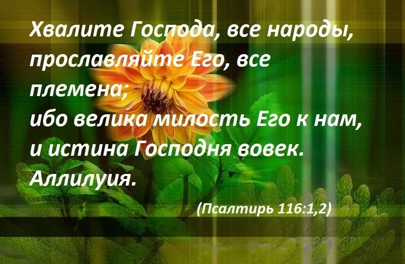 Живите господа песня. Прославление Бога из Библии. Христианские открытки о спасении. Христианские открытки утешайся Господом. Хвалите Бога.