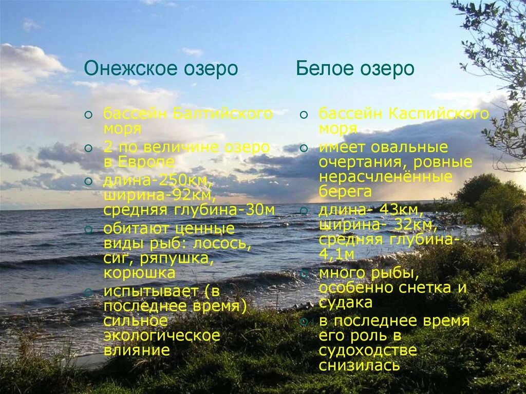 Особенности белого озера. Белое озеро Вологодская область описание. Белое озеро презентация. Онежское озеро характеристика. Белое озеро доклад