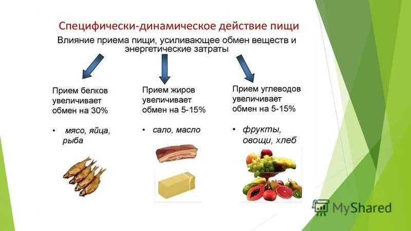 5 предложений с организмом