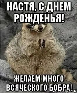 Смешные поздравление насте