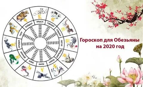 Зодиака 2020