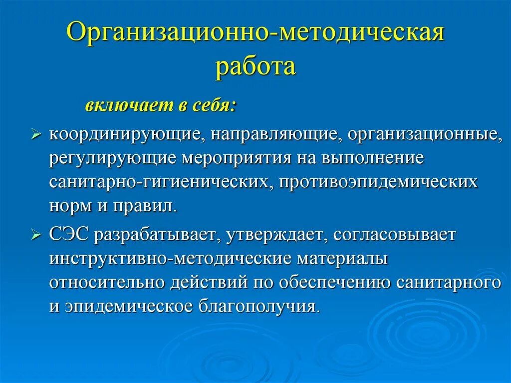 Организационно методические функции