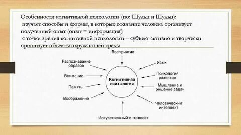 Когнитивная психология влияния