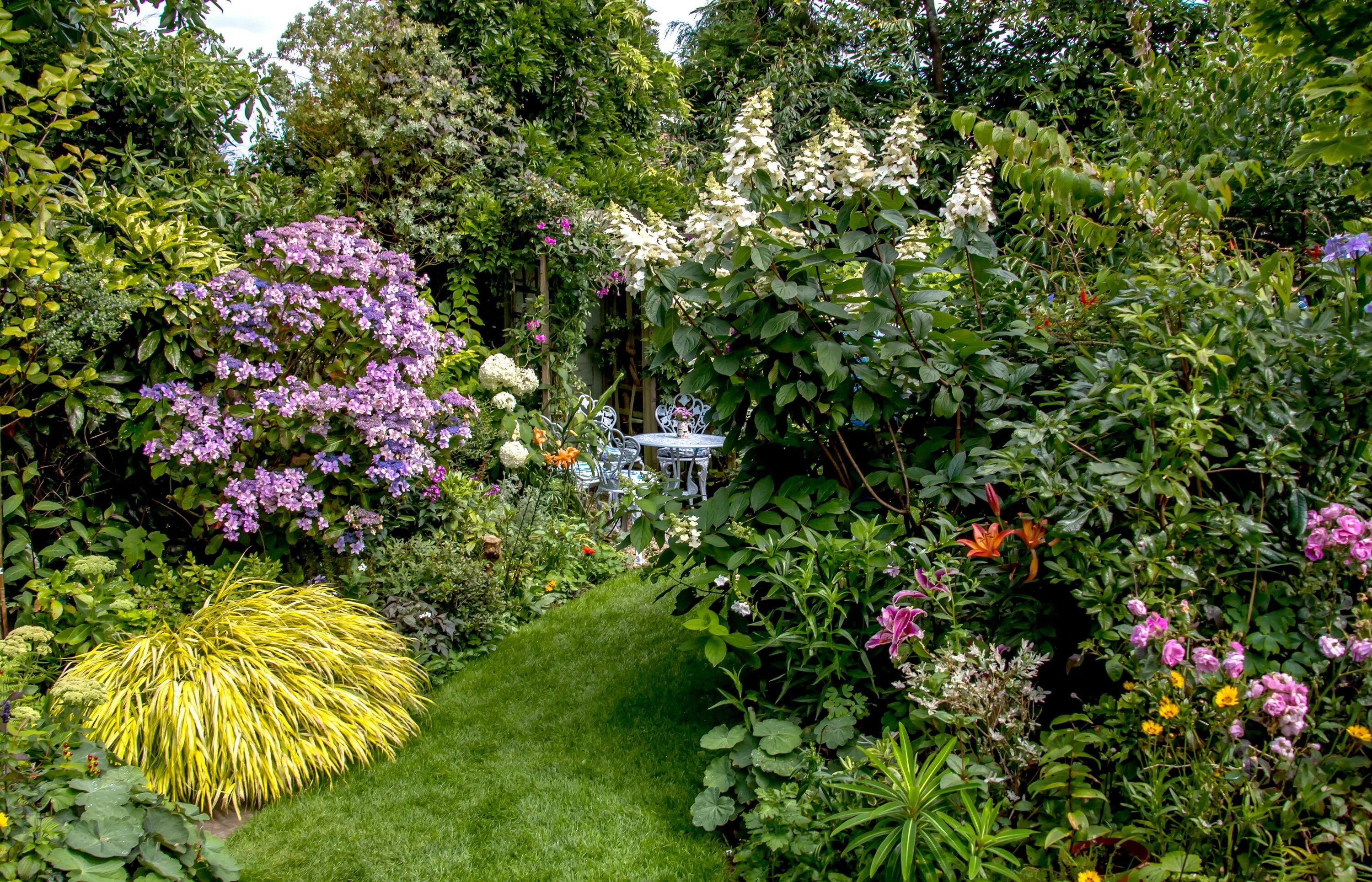 Plant england. Английский сад весной. Сады весеннего Китая. Английский сад обои. Ботаник Гарден обои.