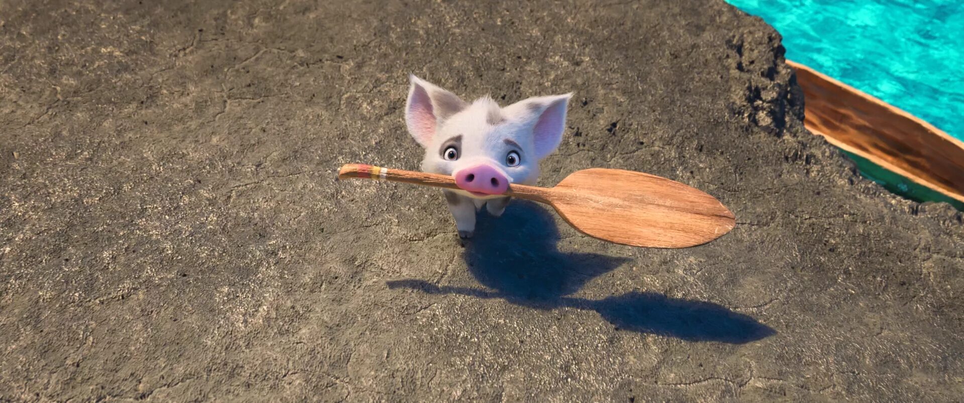 Pua generic