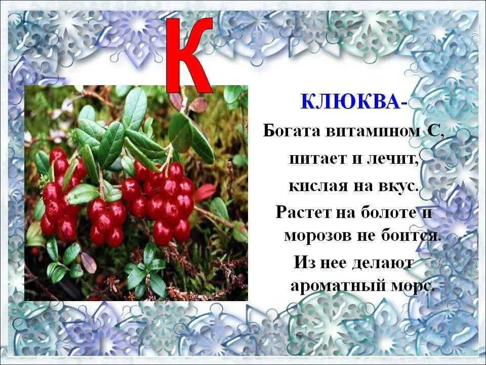 Клюква значение слова. Загадка про клюкву. клюква для дошкольников. стих про клюкву. информация о клюкве.