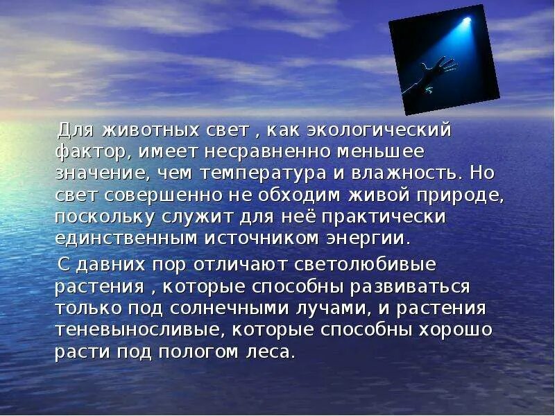 Освещенность как экологический фактор. Свет важный экологический фактор. Свет как фактор жизни растений. Ветер как экологический фактор. Свет экологическая характеристика фактора.