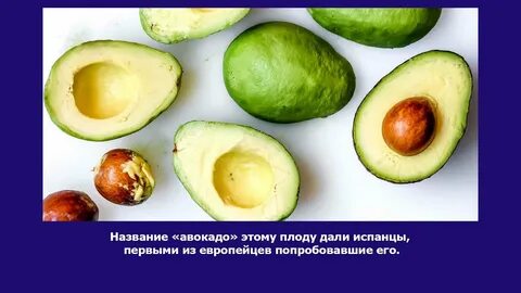 Авокадо он или оно