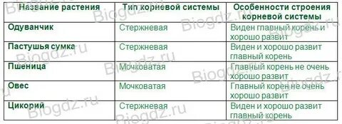 Типы корневой системы таблица