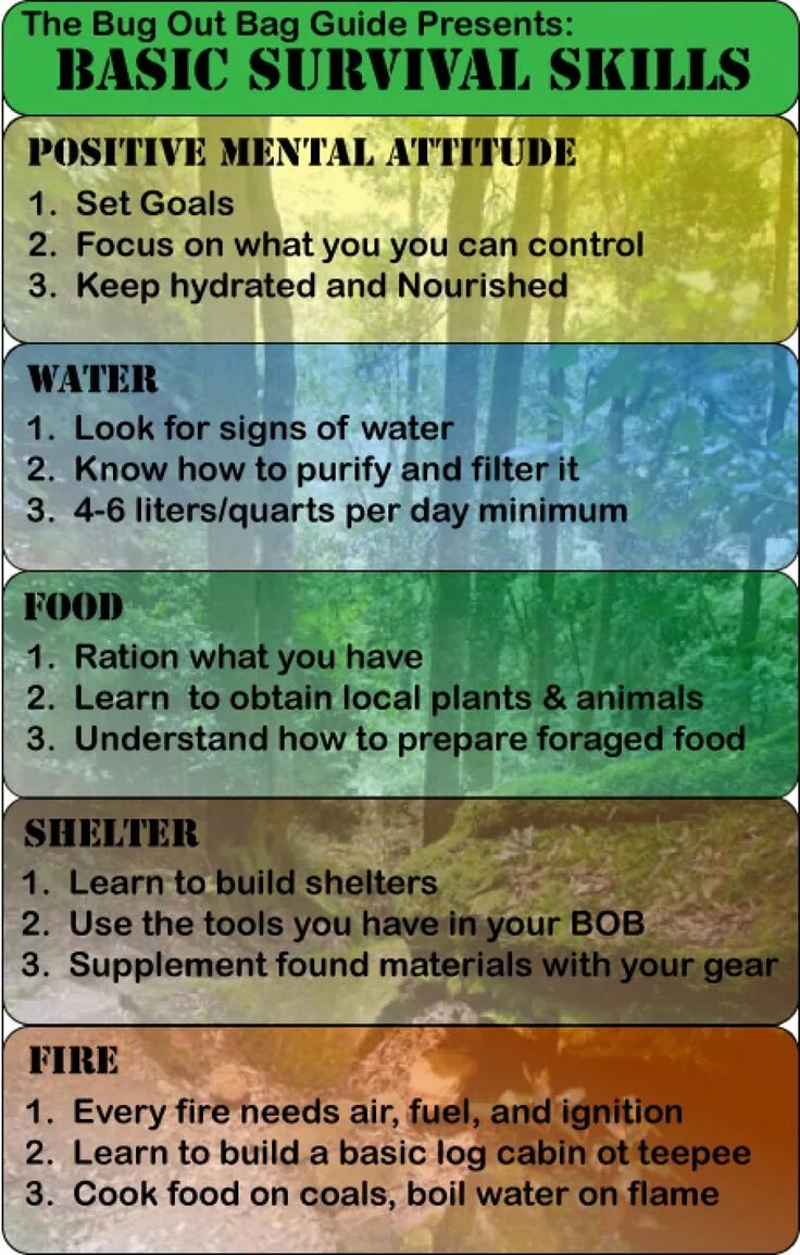 Инфографика голодные игры. Have you ever learned survival skills. Have you ever learned survival skills. Have you ever board game. Present perfect speaking game.