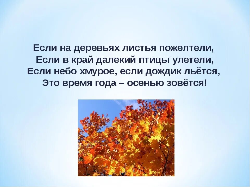 Даже самой теплой осенью листья желтеют. Если на деревьях листья пожелтели если в край далекий. Если на деревьях листья пожелтели если в край далекий птицы улетели. Если на деревьях листья пожелтели стих про осень. Осень если на деревьях листья пожелтели.