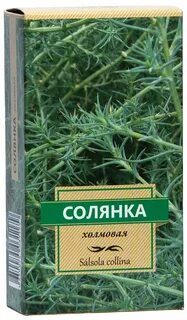 Лечебная трава солянка