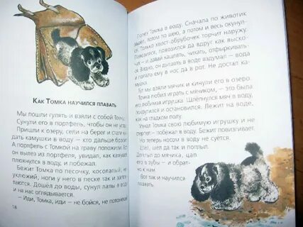 Чарушин друзья читательский дневник