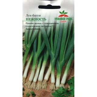 Лук батун название 7