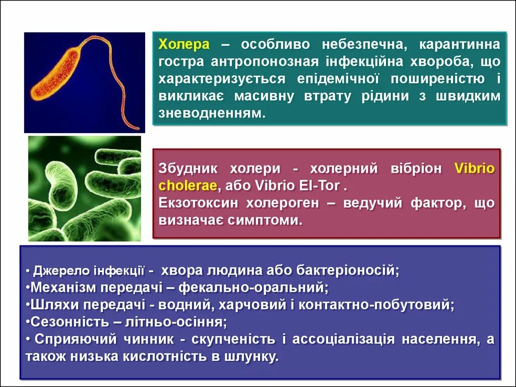 Есть ли холера. Инфекционные заболевания холера. Холера бактериальное заболевание. Холерный вибрион клинические проявления.