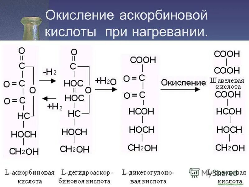 Витамин с аскорбиновая кислота авитаминоз. Аскорбиновая кислота 100 мг ампулы. Можно ли собакам аскорбиновую кислоту. В/в,в/м ) дальхимфарм-россия. Аскорбинка.