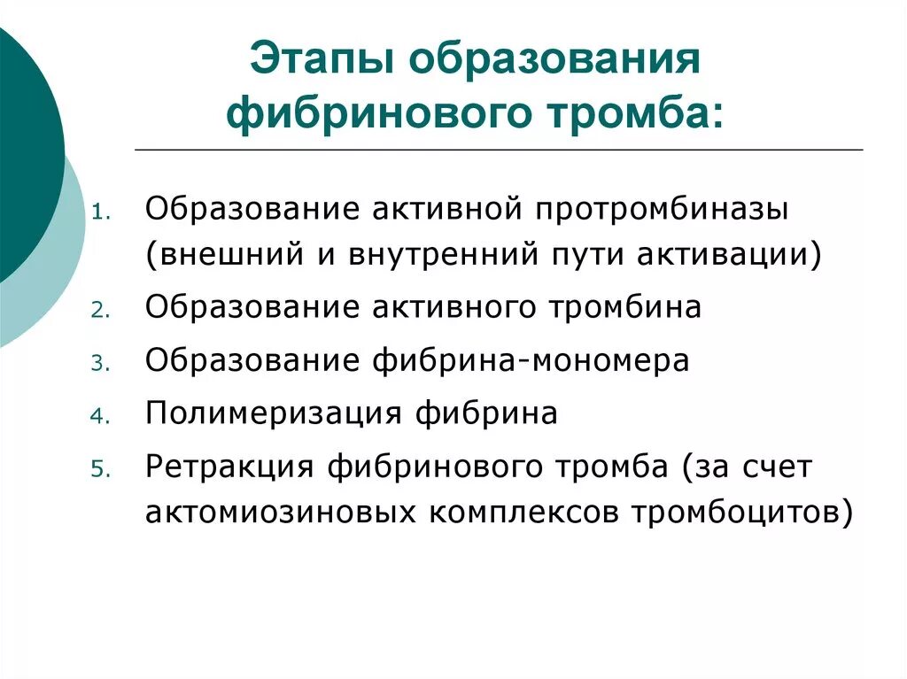 Образование фибринового тромба. Этапы образования фибринового сгустка. Этапы образования фибринового сгустка биохимия. Этапы образования фибринового тромба. Этапы формирования фибринового тромба.