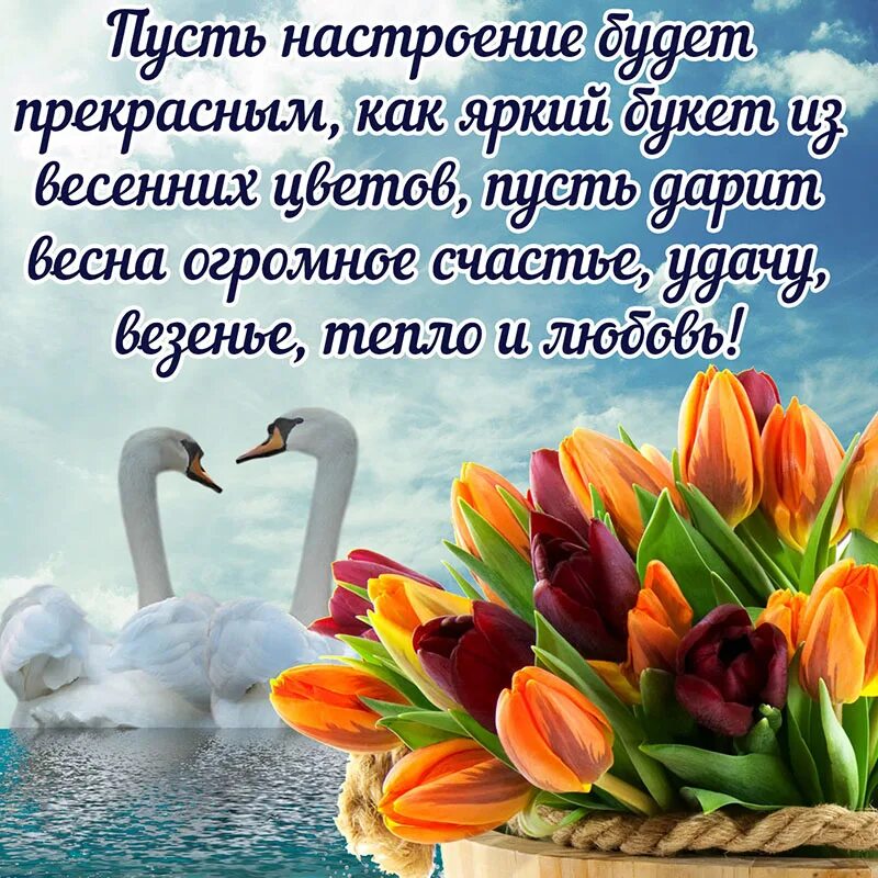 Доброго весеннего дня с красивыми пожеланиями. Весенние пожелания. открытки весеннего настроения. весенние поздравления и пожелания. весеннего настроения пожелания.