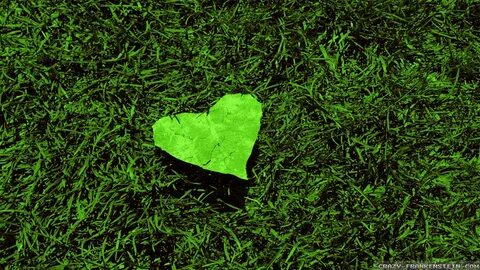 Natural love